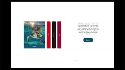 Elegant Slider with Figma animation branding slider ui