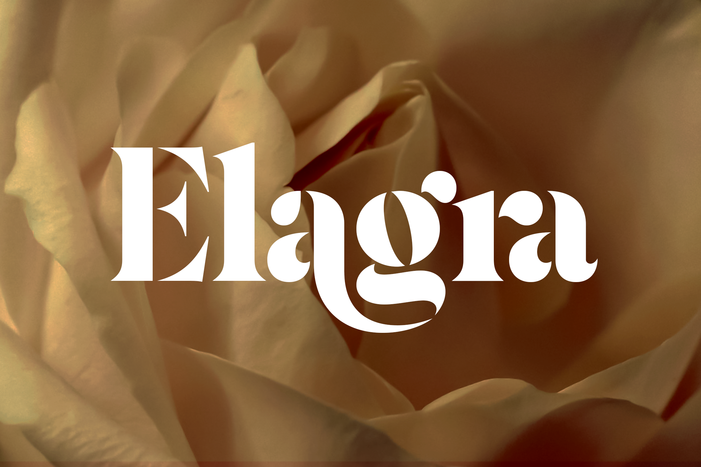 Elagra - Elegant Stencil Serif Font feminine brand
