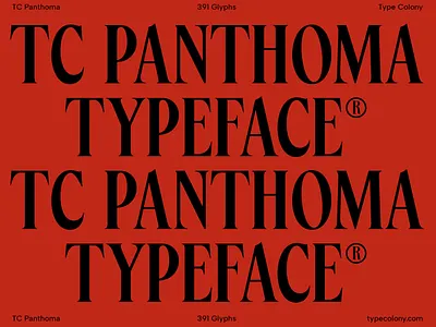 TC Panthoma Bold Serif branding font font design fonts graphic design type typeface typography