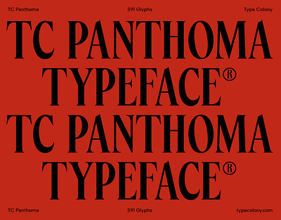 TC Panthoma Bold Serif branding font font design fonts graphic design type typeface typography