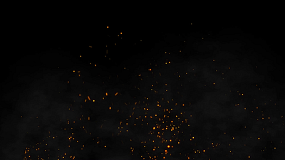 Phoenix animation motion motion graphics phoenix