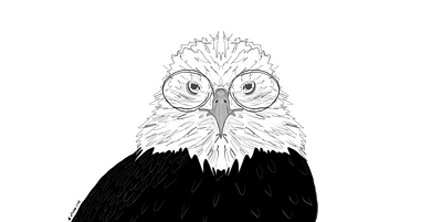 .eagle eagle illustration inktober inktober2022