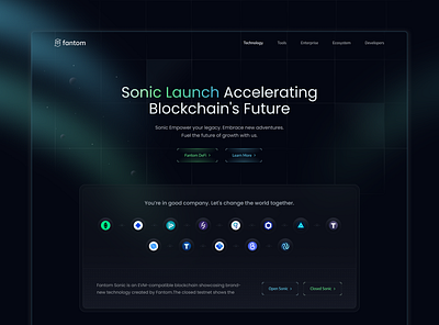 Web3 Blockchain Interface Concept blockchain blockchain platform blockchian landing page clean crypto cryptocurrency dark design future of blockchain landing page next gen blockchain ui ui design web3 blockchain website