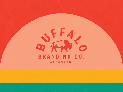 Buffalo Branding Co. Logo arkansas brand branding buffalo clothing co. illustration logo