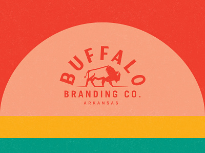 Buffalo Branding Co. Logo arkansas brand branding buffalo clothing co. illustration logo