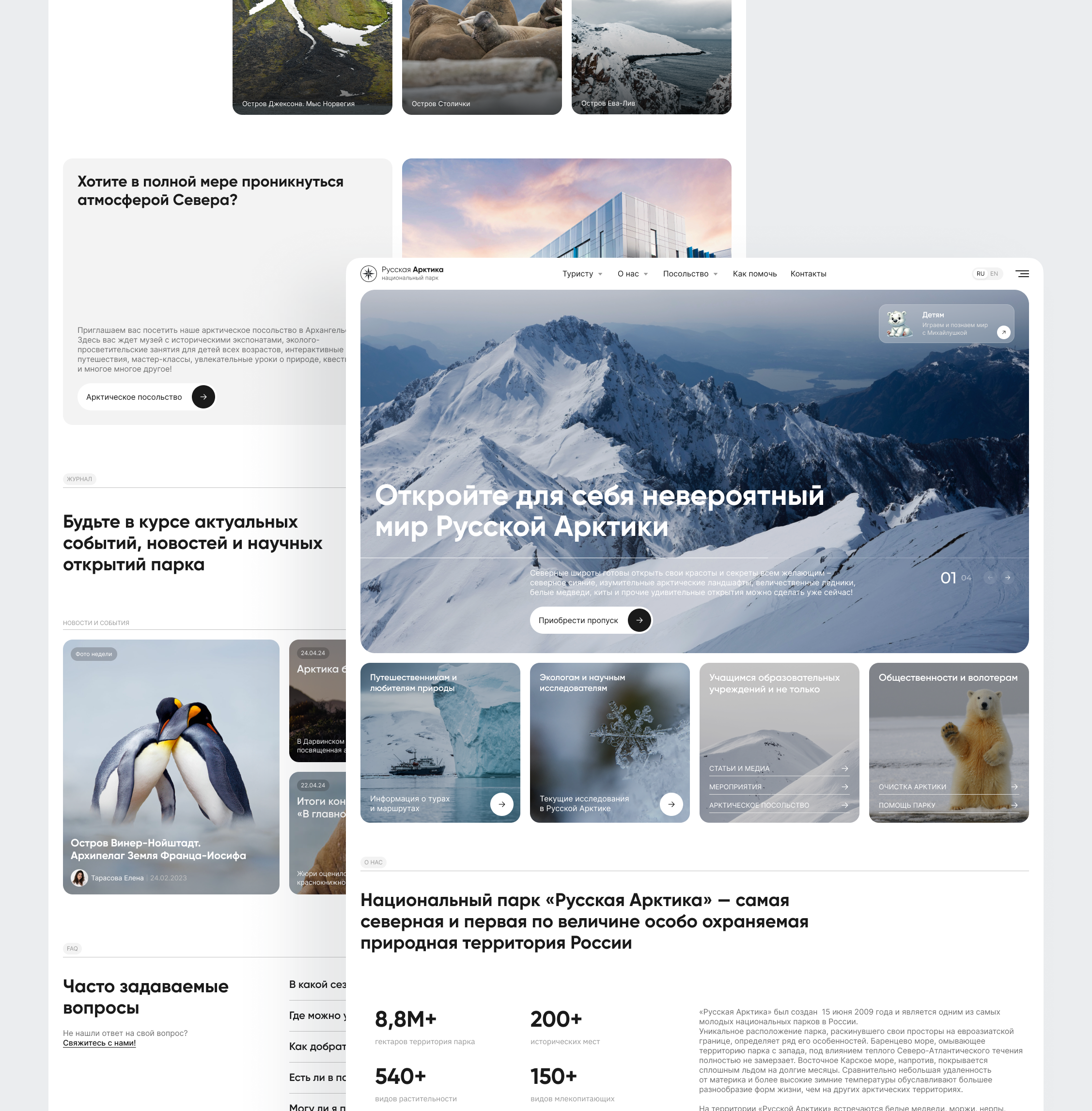 Russian Arctic | Landing Page branding clean design dailyui design illustration logo product design ui ux web design