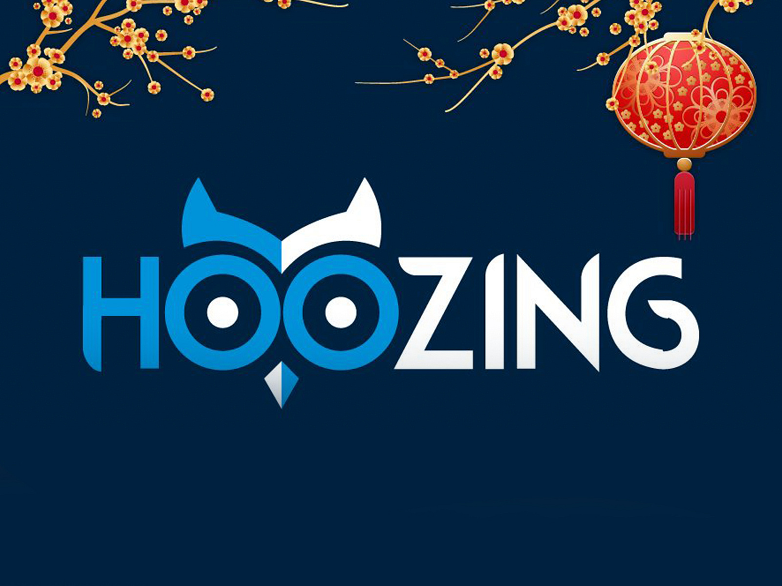 Hoozing Việt Nam by Quang Ninh on Dribbble