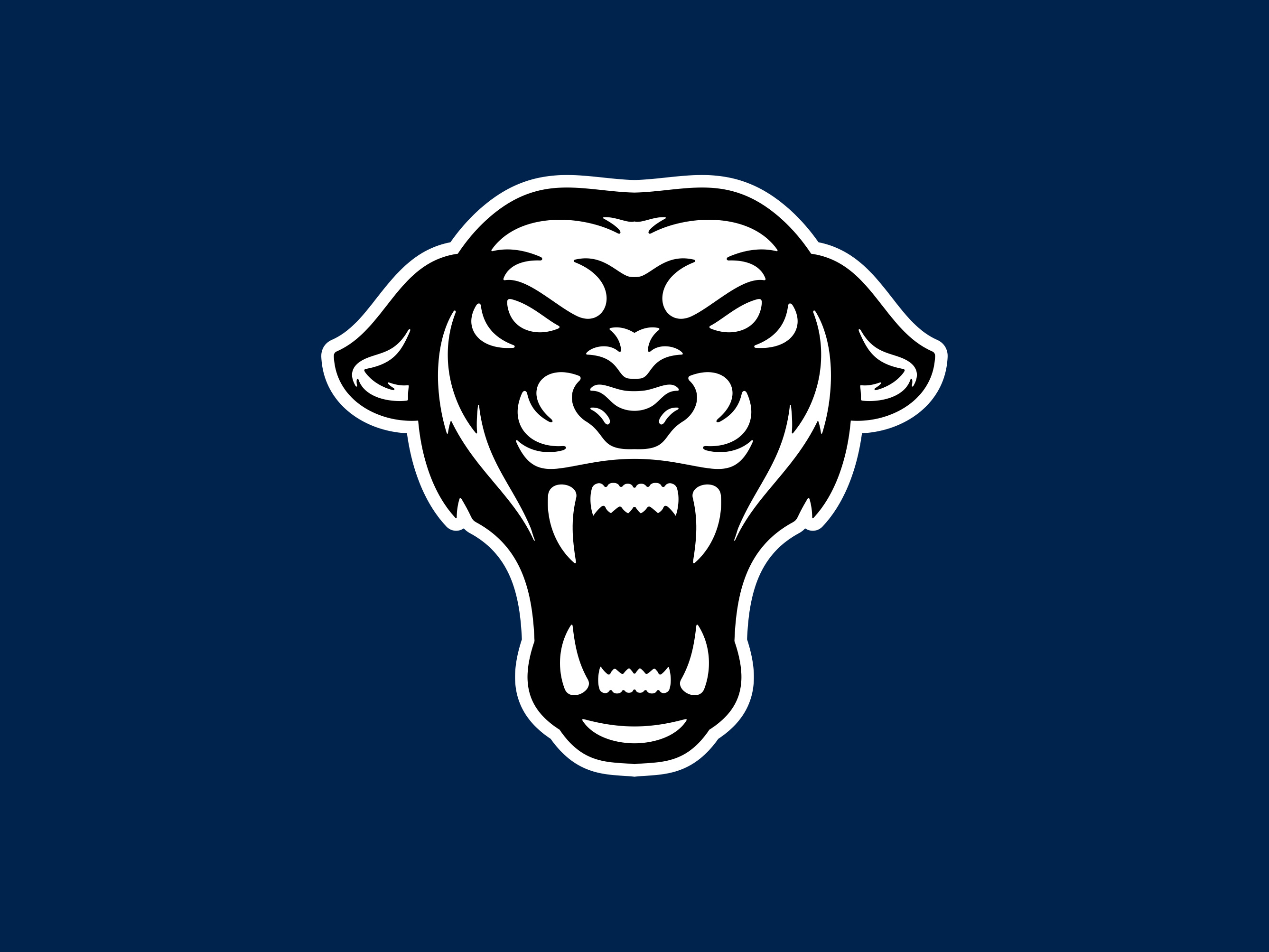 Panthers Head Mascot apparel baseball branding character design esport football graphic design illustration logo martial arts mascot mma panther simple soccer sports team vector vintage