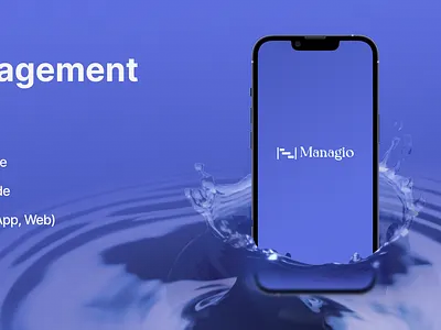 Project Management ui