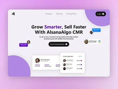 Alsana - CMR Landing page ui