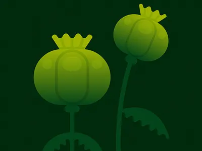 Peachtober Day 5 — Poppy design green illustration moody opium poppy poppy pod stylized