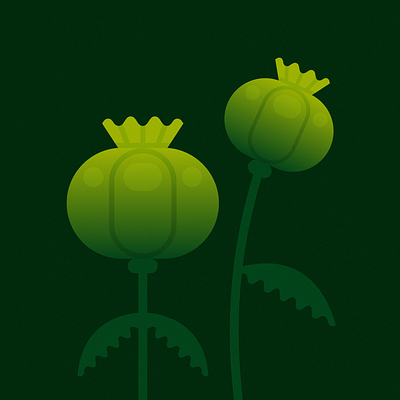 Peachtober Day 5 — Poppy design green illustration moody opium poppy poppy pod stylized