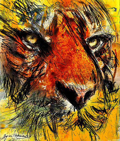 Tigre en gros-plan