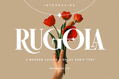 Rugola - Modern Luxury Display Serif Font brandong design eleganr elegant fashion fashion design font fonts graphic design invitation luxury luxury font modern premium serif wedding