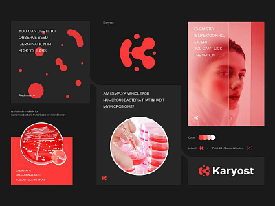 Bacteria logo, K logo branding logo