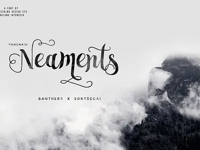 Neaments Typeface alternates display handdrawn handlettering handmade hipster lettering ligatures monoline neaments typeface opentype retro type swash modern vintage watercolor