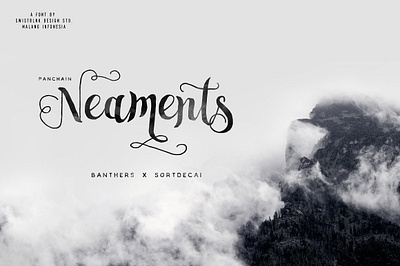 Neaments Typeface alternates display handdrawn handlettering handmade hipster lettering ligatures monoline neaments typeface opentype retro type swash modern vintage watercolor