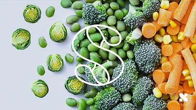 Salat branding design graphic design logo typography