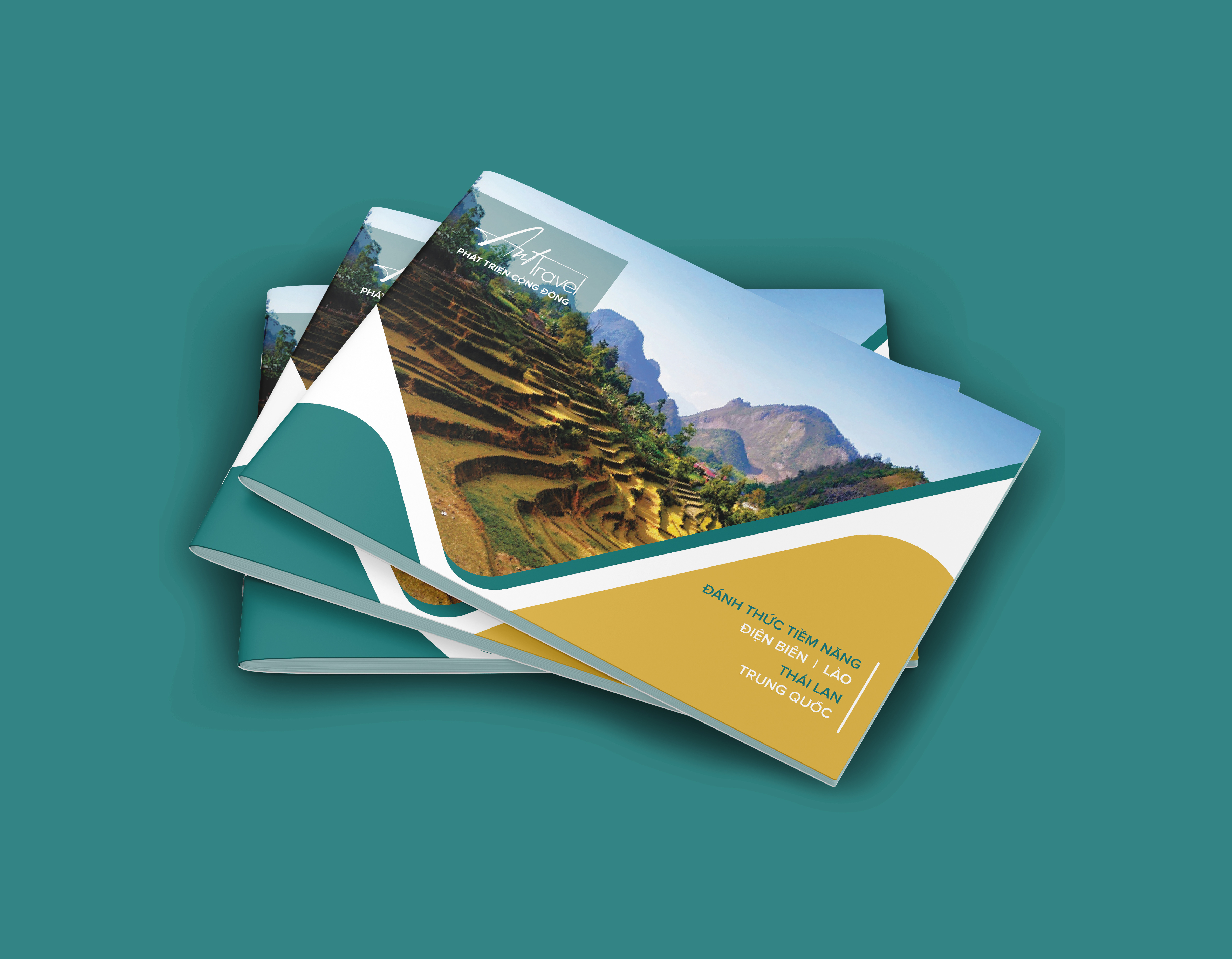 Ant Travel Brochure design marketing design print design tourism identity travel agency design travel branding travel brochure travel design visual storytelling