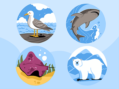 Roebuck Educational App Illustrations app branding design graphic design illustration logo typography ui ux vector