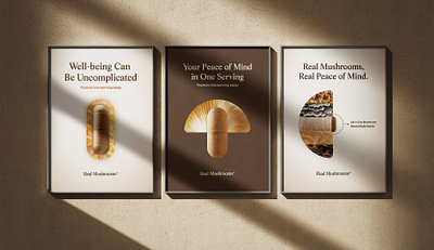 Real Mushrooms Ad Campaign ad campaign consumer packaged goods messaging development strategy messaging strategy user persona