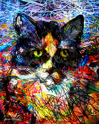Les yeux dans la nuit