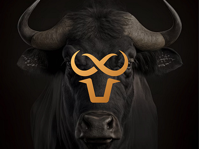 Infinity Mark with Bull Logo powerful form
