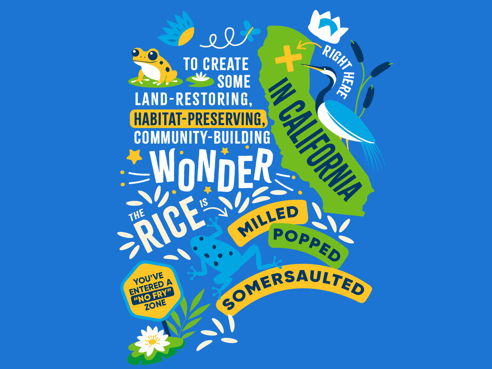 Regenerative Organic Farming Infographic illustration infographic packaging regenerative vector