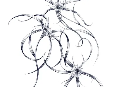 Orchid study
