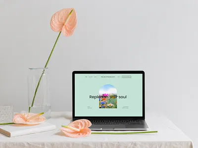 Beauty Salon branding design graphic design illustration website design