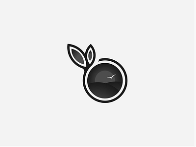 Tarasiv Obriy — Blackberry Producer black and white