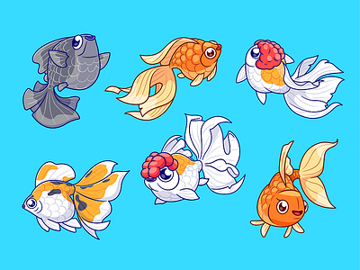 Koki Fish Collection🐟 branding card design font icon idea illustration logo pattern ui