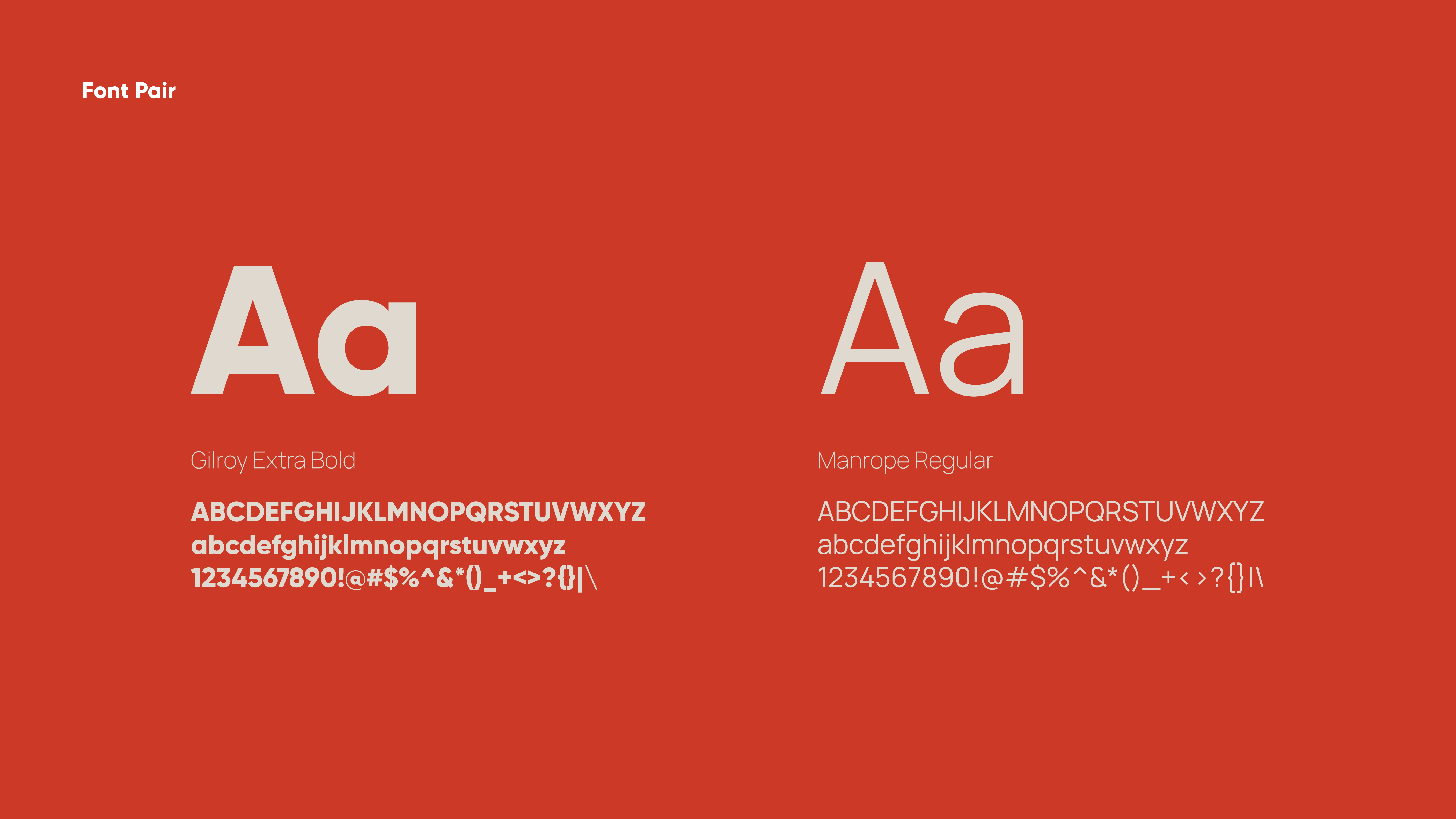 Example of Premium Logo Design