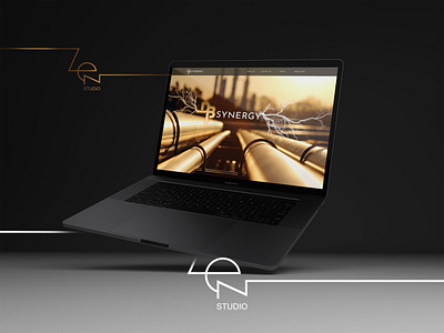 DB SYNERGY classic concept gold luxury luxurydesing stylish ui ux web webdesign website zen
