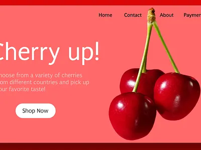 Cherry Design branding design graphic design illustration logo ui