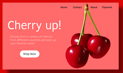 Cherry Design branding design graphic design illustration logo ui
