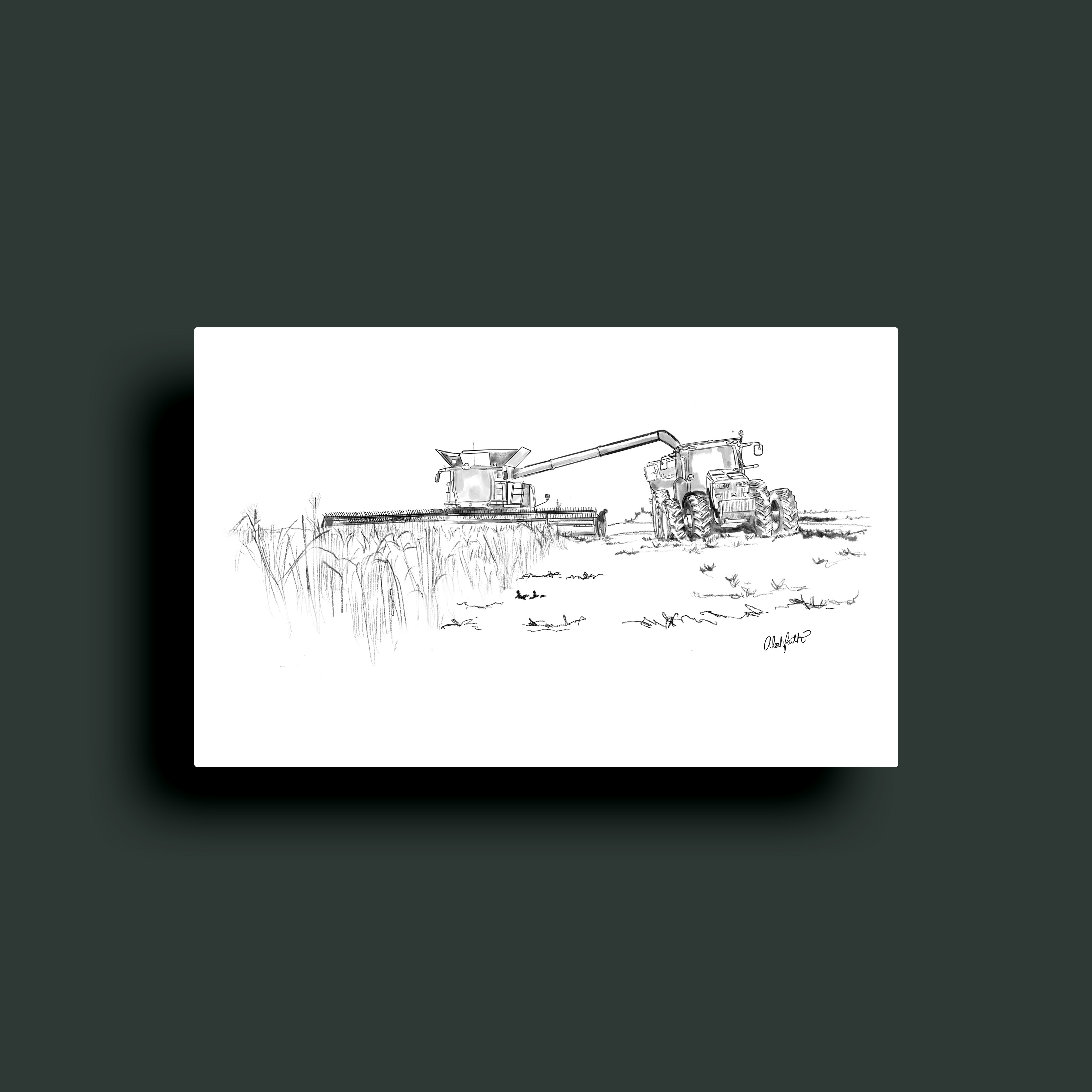 Agriculture Sketch art design digital art digital drawing drawing graphic design illustration illustration art illustrations