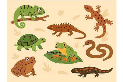 Group of Reptiles on White Background amphibi animal beautiful cartoon character conservation creature dragon ecology fauna green iguana lizard nature pet reptile shelter tropical wild wildlife