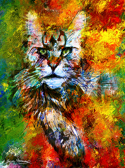 Pour les amateurs de Maine Coon