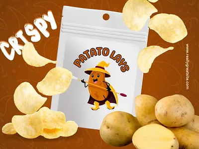 Professional and standard cat log design dribbble design