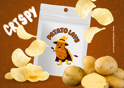 Professional and standard cat log design dribbble design