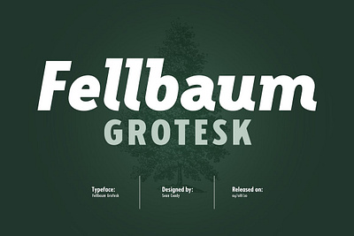 Fellbaum Grotesk Full apothecary apothecary label artisan canadian clean cursive fellbaum grotesk full fonts german gothic grotesque oblique open type opentype sans scandinavian slab small caps vintage