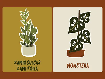 Teodim — Illustration Cards 2d illustration brand brand design brand identity brand identity design branding branding inspiration branding template cool branding design design system figma graphic design illustration plants