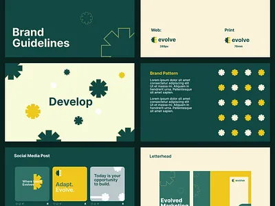 Evolve Brand Identity & Guidelines