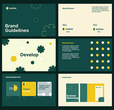 Evolve Brand Identity & Guidelines