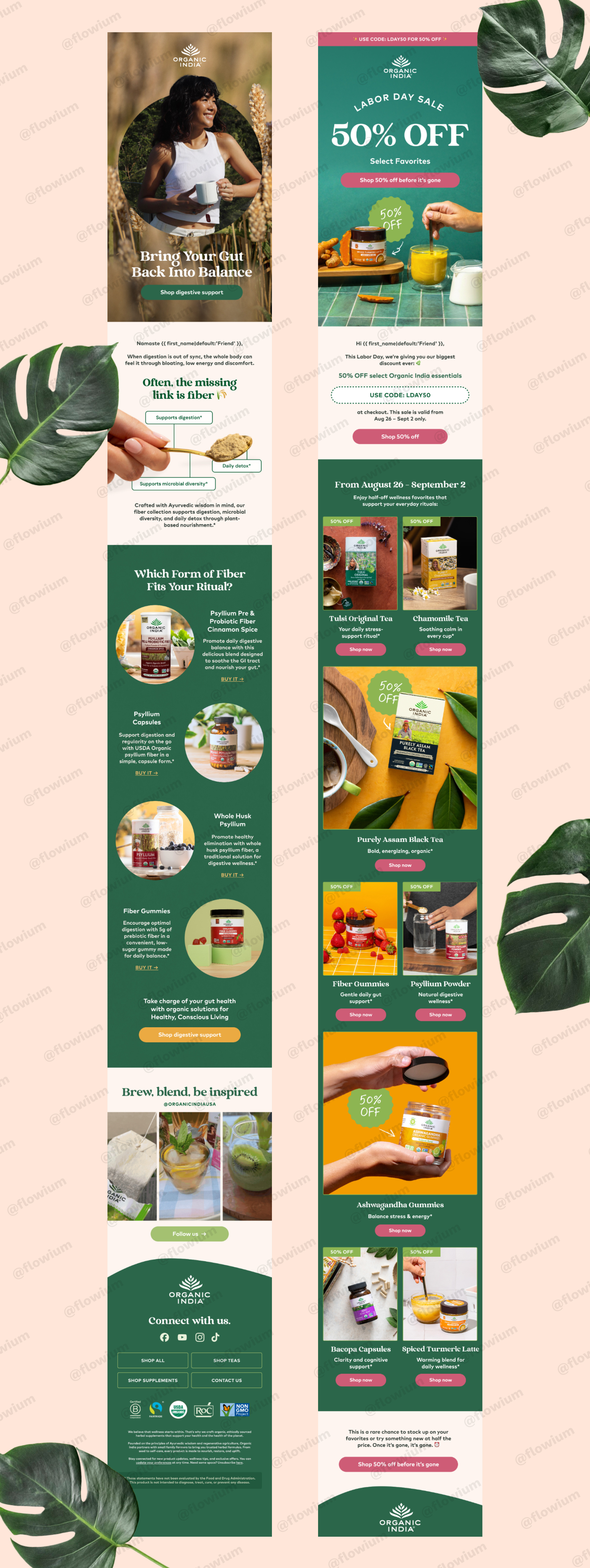 Wellness & Lifestyle Email Designs for eCommerce Brands branding ecommerce ecommerce design email email campaign email design email marketing email marketing design newsletter newsletter design