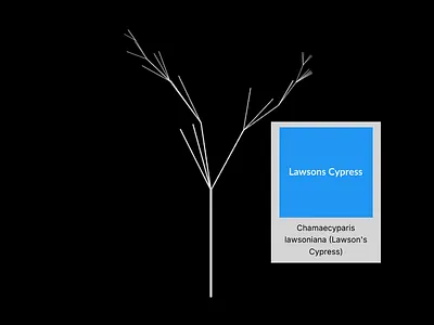 The tree of trees online art tool