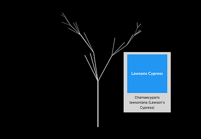 The tree of trees online art tool