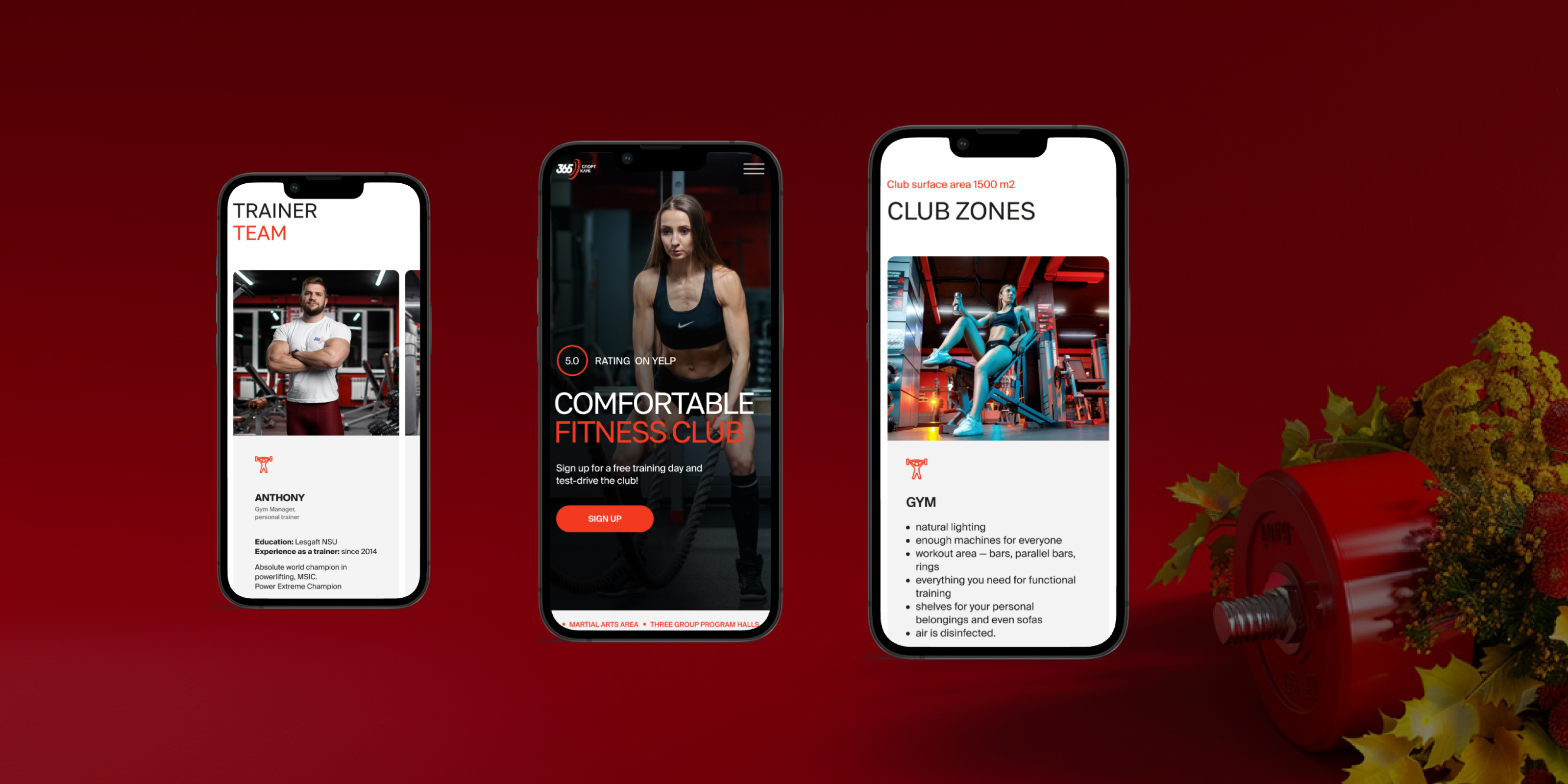 Browse thousands of Block Mobile images for design inspiration | Dribbble