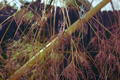 Little_doods piece: Floating Reeds illustration photography